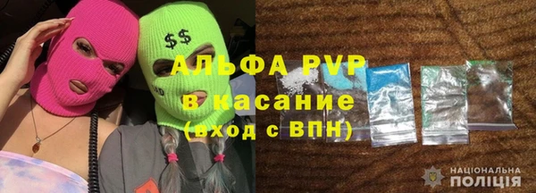 PSILOCYBIN Верхний Тагил
