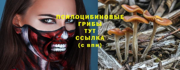 сатива Волоколамск