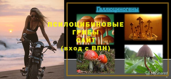 PSILOCYBIN Верхний Тагил