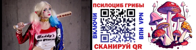 площадка состав  Калачинск  Псилоцибиновые грибы Psilocybine cubensis 